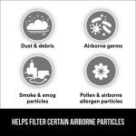 Mask Particles